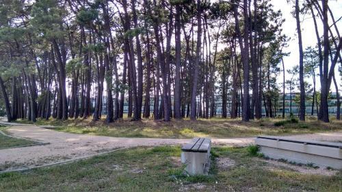 Apartamento Playa Isla De Arosa