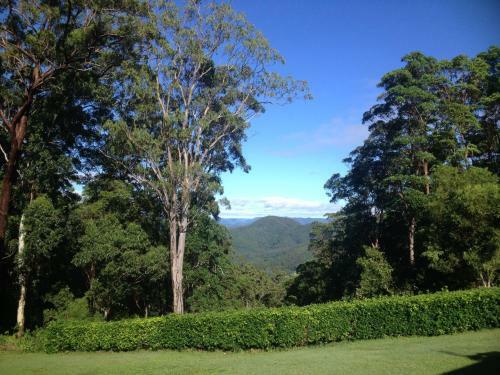 Apartamentos Mapleton Falls Accommodation