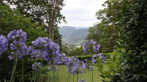 Apartamentos Mapleton Falls Accommodation