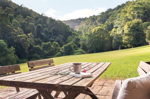 Lodge Mt Warning Forest Hideaway