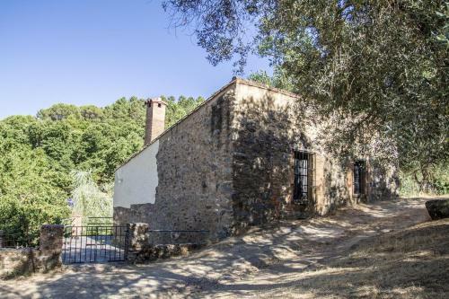 Pozuelo 3 Jabugo