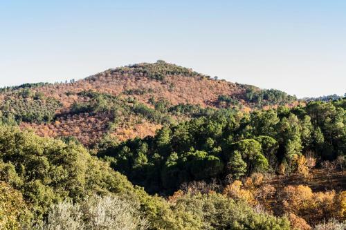 Pozuelo 3 Jabugo