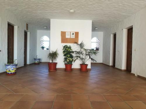 Apartamento Canela