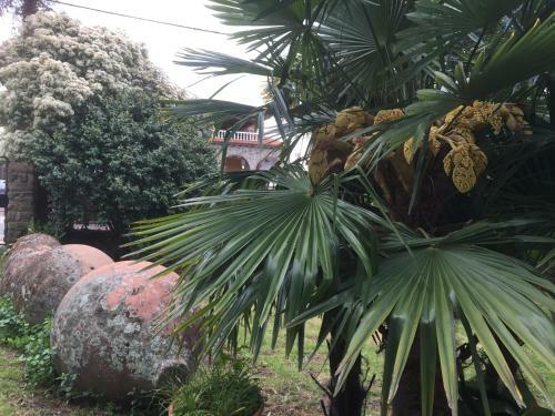 Las Hazas Jarandilla De La Vera