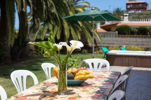 Finca La Gaviota - Las Palmeras