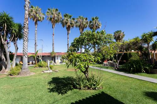 Finca La Gaviota - Las Palmeras