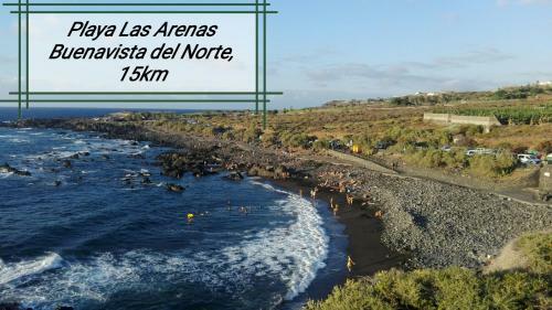 Los Geranios N.25