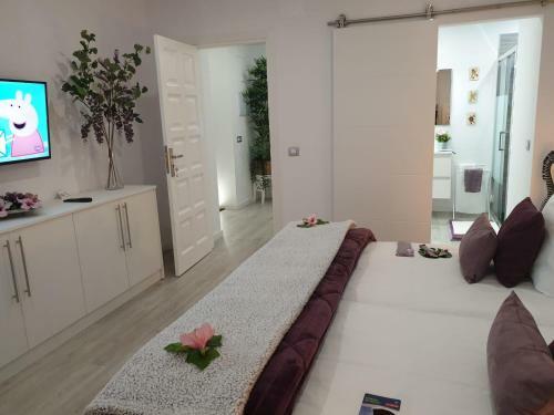 Apartamento Plaza San Marcos