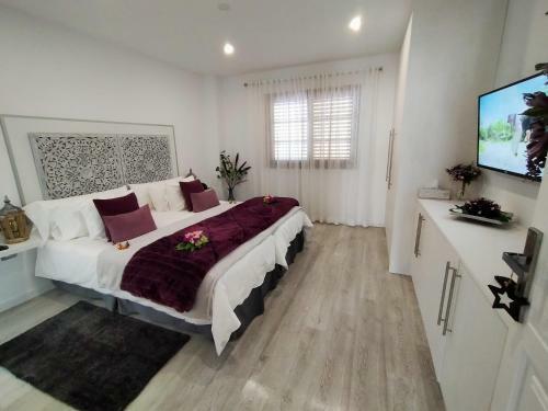 Apartamento Plaza San Marcos
