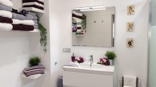 Apartamento Plaza San Marcos