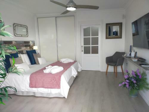 Apartamento Playa Monis