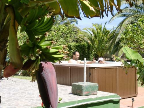Finca La Gaviota - Los Limoneros