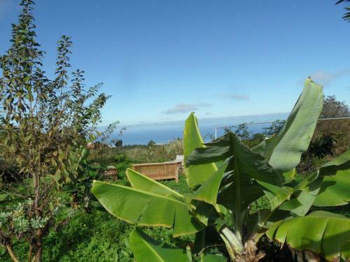 Finca Cueva Del Viento