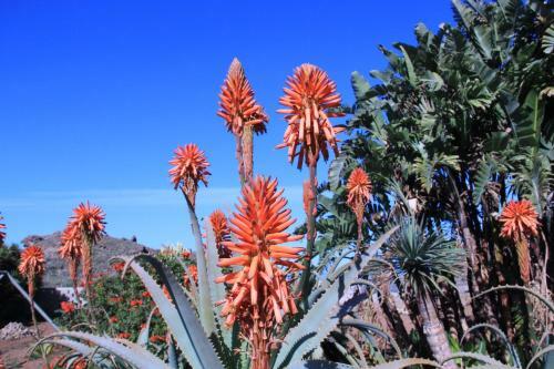 Apartamento Finca La Punta