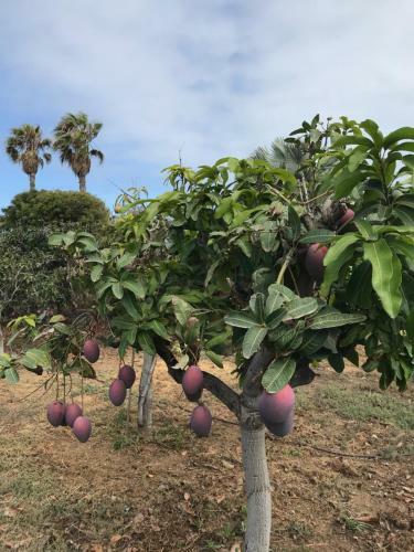 Apartamento Finca La Punta