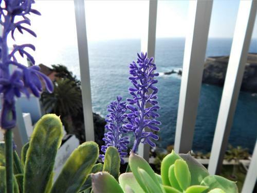 Apartamento Monis Natura