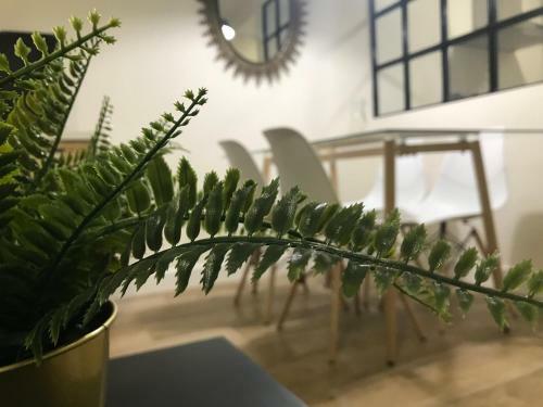 Loft Nature En Bernab� Soriano