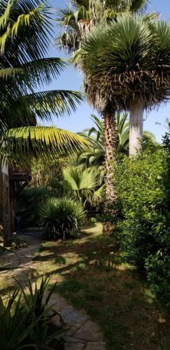 Apartamento La Casita De La Vega
