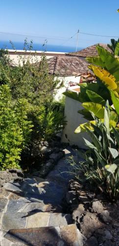 Apartamento La Casita De La Vega