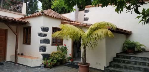 Apartamento La Casita De La Vega