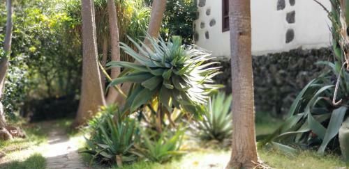 Apartamento La Casita De La Vega