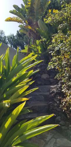 Apartamento La Casita De La Vega