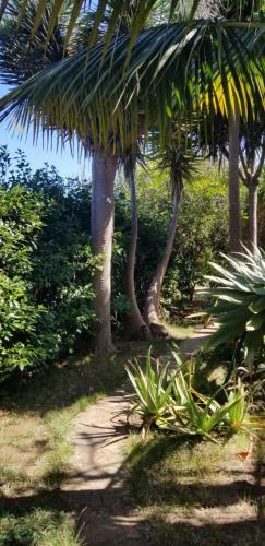 Apartamento La Casita De La Vega