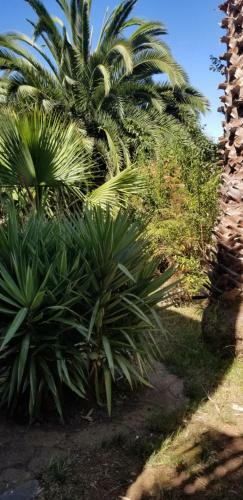 Apartamento La Casita De La Vega