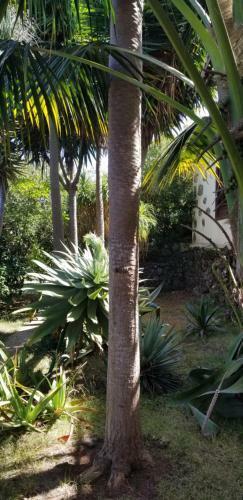 Apartamento La Casita De La Vega