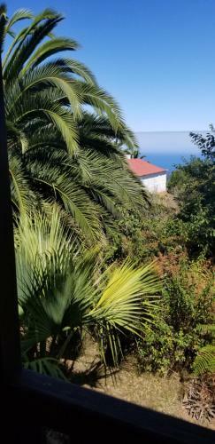 Apartamento La Casita De La Vega