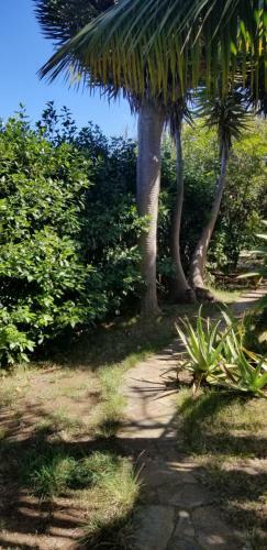 Apartamento La Casita De La Vega