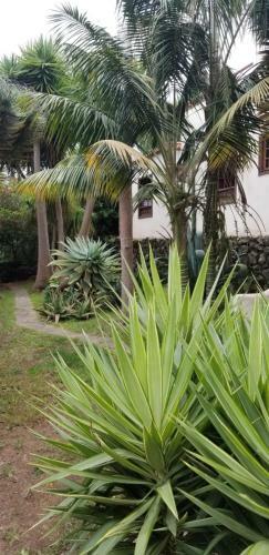 Apartamento La Casita De La Vega
