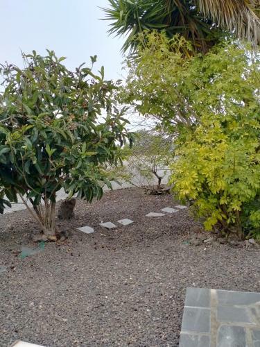 Apartamento Rustikale Kanarische Finca Mit Garten