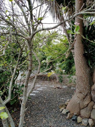Apartamento Rustikale Kanarische Finca Mit Garten