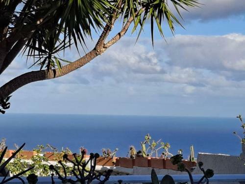 Apartament Dulcynea Dla 2 Os�b Z Tarasem I Ogrodem