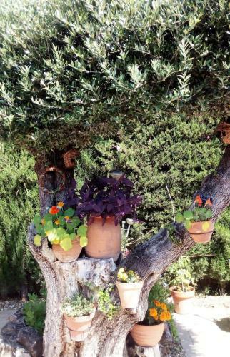 Apartamento Bay Leaves