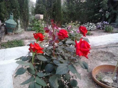 Casa F�tima Vivienda Tur�stica de Alquiler Rural