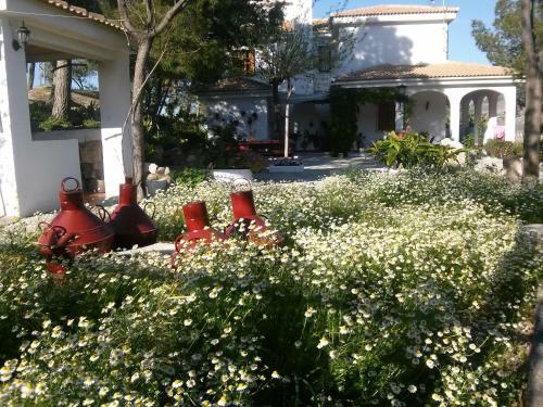 Casa F�tima Vivienda Tur�stica de Alquiler Rural