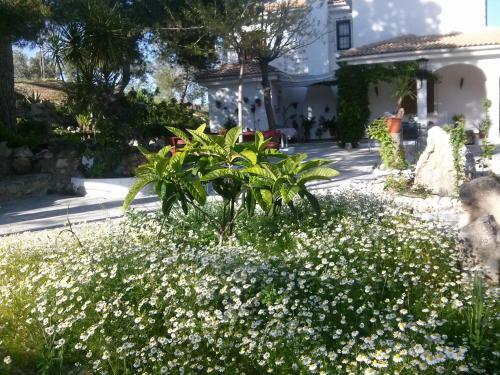 Casa F�tima Vivienda Tur�stica de Alquiler Rural