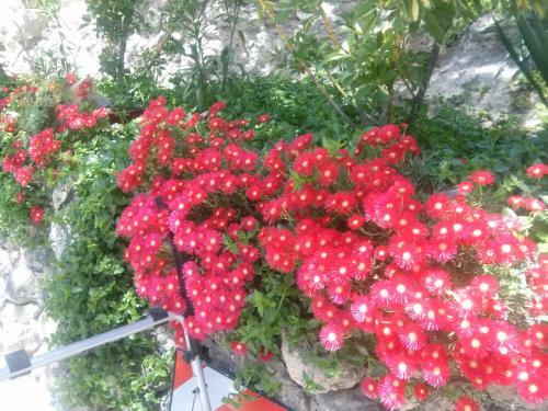 Casa F�tima Vivienda Tur�stica de Alquiler Rural