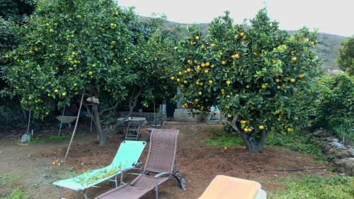 Finca Brujita Del Drago - Authentic And Peaceful