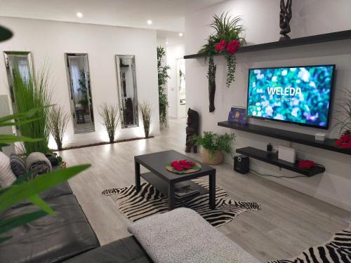 Apartamento Habitaci�n Plaza