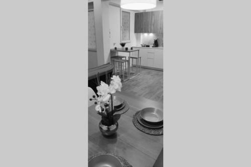Apartamento X�tiva Home, Loft Center