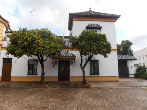 Apartamento Plaza De Toros