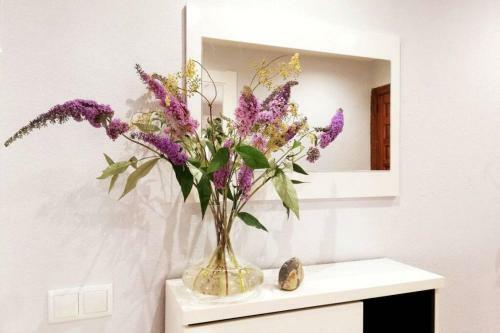 Apartamento Cobexo. Moderno Y Luminoso En El Centro de Jaca