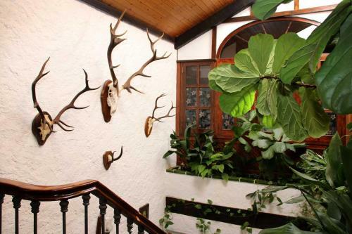 Agroturismo Molino Rodete