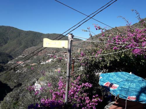 Agroturismo Casa Cueva Juncalillo Garden