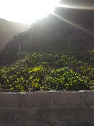 Agroturismo Casa Cueva Juncalillo Garden