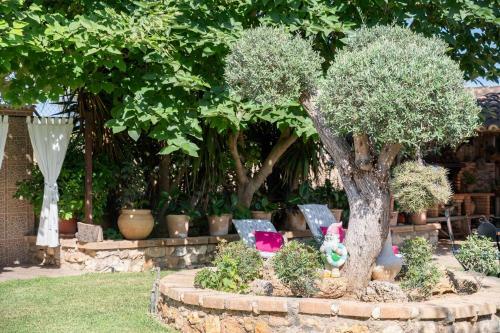 Finca Can Diego
