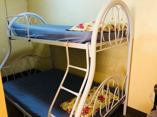 Hotel Srjo Fun Central Resort